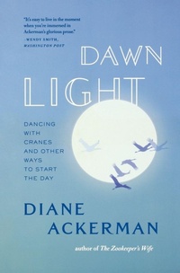 Enlarge image Cover: Dawn Light - WW Norton & Co