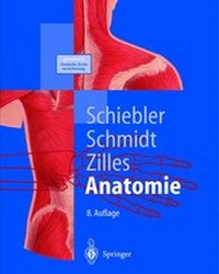 Abbildung von: Anatomie - Springer