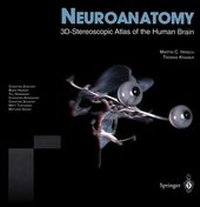 Abbildung von: Neuroanatomy - Springer