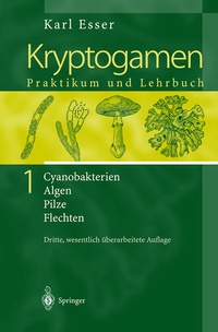 Enlarge image Cover: Kryptogamen 1 - Springer