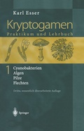 Cover: Kryptogamen 1 - Springer