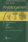 Cover: Kryptogamen 1 - Springer