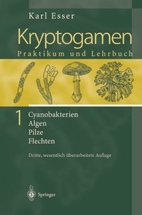 Enlarge image Cover: Kryptogamen 1 - Springer