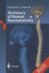 Abbildung von: Dictionary of Human Neuroanatomy - Springer