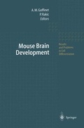 Cover: Mouse Brain Development - Springer