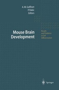 Enlarge image Cover: Mouse Brain Development - Springer