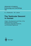 Bild: The Testicular Descent in Human - Springer