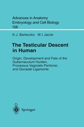 Bild: The Testicular Descent in Human - Springer