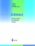 Cover: Schmerz - Springer