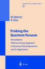 Cover: Probing the Quantum Vacuum - Springer