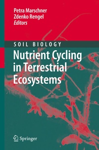 Bild vergrößern Bild: Nutrient Cycling in Terrestrial Ecosystems - Springer