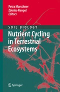 Bild: Nutrient Cycling in Terrestrial Ecosystems - Springer