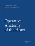 Bild: Operative Anatomy of the Heart - Springer