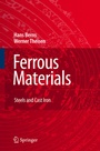 Cover: Ferrous Materials - Springer