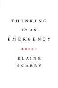 Cover: Thinking in an Emergency - WW Norton & Co