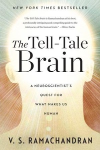 Enlarge image Cover: The Tell-Tale Brain - WW Norton & Co