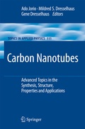 Cover: Carbon Nanotubes - Springer