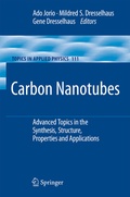 Cover: Carbon Nanotubes - Springer