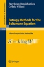 Cover: Entropy Methods for the Boltzmann Equation - Springer