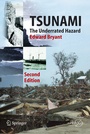 Cover: Tsunami - Springer