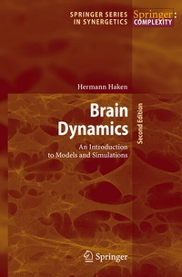 Enlarge image Cover: Brain Dynamics - Springer
