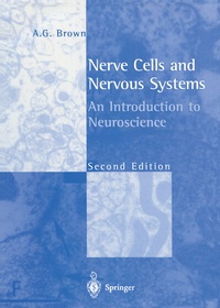 Abbildung von: Nerve Cells and Nervous Systems - Springer