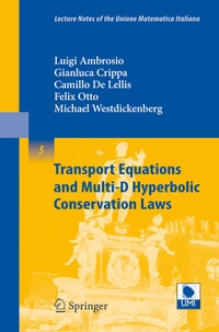 Abbildung von: Transport Equations and Multi-D Hyperbolic Conservation Laws - Springer