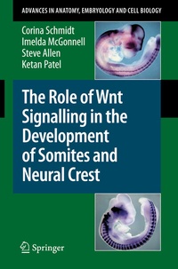 Abbildung von: The Role of Wnt Signalling in the Development of Somites and Neural Crest - Springer