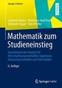 Cover: Mathematik zum Studieneinstieg - Springer Gabler