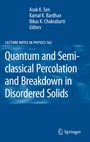 Cover: Quantum and Semi-classical Percolation and Breakdown in Disordered Solids - Springer