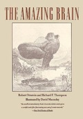 Cover: The Amazing Brain - Houghton Mifflin (Trade)