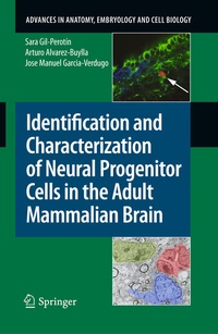 Abbildung von: Identification and Characterization of Neural Progenitor Cells in the Adult Mammalian Brain - Springer