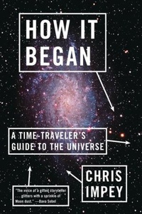 Enlarge image Cover: How It Began - WW Norton & Co