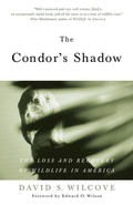 Cover: The Condor's Shadow - Anchor Books