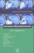 Cover: Gehirn & Wahrnehmung - Fischer Taschenbuch
