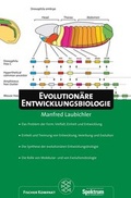 Cover: Evolution&auml;re Entwicklungsbiologie - Fischer Taschenbuch