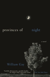 Enlarge image Cover: Provinces of Night - Anchor Books