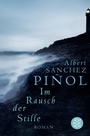 Cover: Im Rausch der Stille - Fischer Taschenbuch