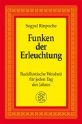 Cover: Funken der Erleuchtung - Fischer Taschenbuch