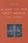 Cover: A Map to the Next World - W. W. Norton & Company