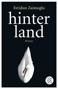 Abbildung von: Hinterland - Fischer Taschenbuch