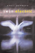 Cover: Swan Electric - W. W. Norton & Company