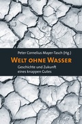 Cover: Welt ohne Wasser - Campus