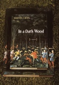 Cover: In a Dark Wood - Anchor