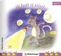 Cover: Time for stories. Pfiffige Bild-Text-Hefte f&uuml;r Klasse 3 bis 6 / Heft 10: What a night (VPE 5 Stk.) - Mildenberger Verlag GmbH