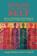 Cover: Healing the Divided Self - WW Norton & Co