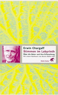Enlarge image Cover: Stimmen im Labyrinth - Klett-Cotta