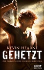 Cover: Gehetzt - Klett-Cotta