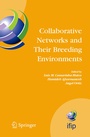 Cover: Collaborative Networks and Their Breeding Environments - Springer