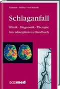 Cover: Schlaganfall - ecomed-Storck